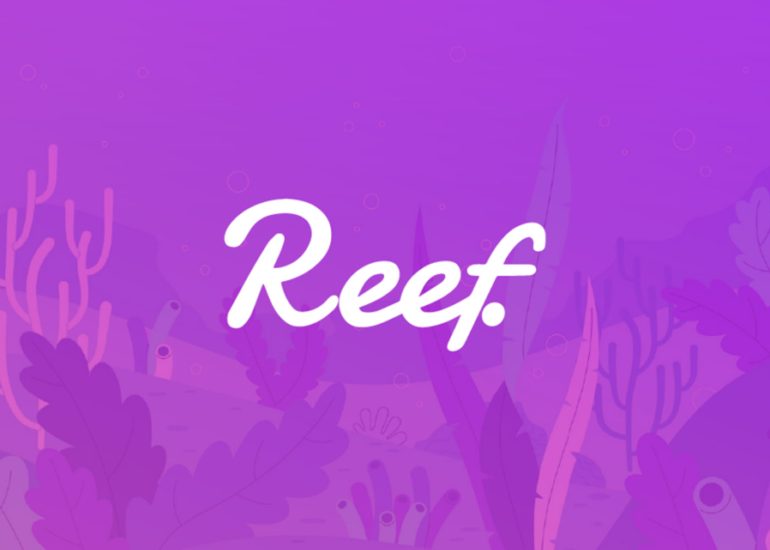 Visual Overview Of The Reef Coin